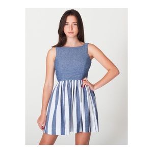 American Apparel Denim Stripe Dress
